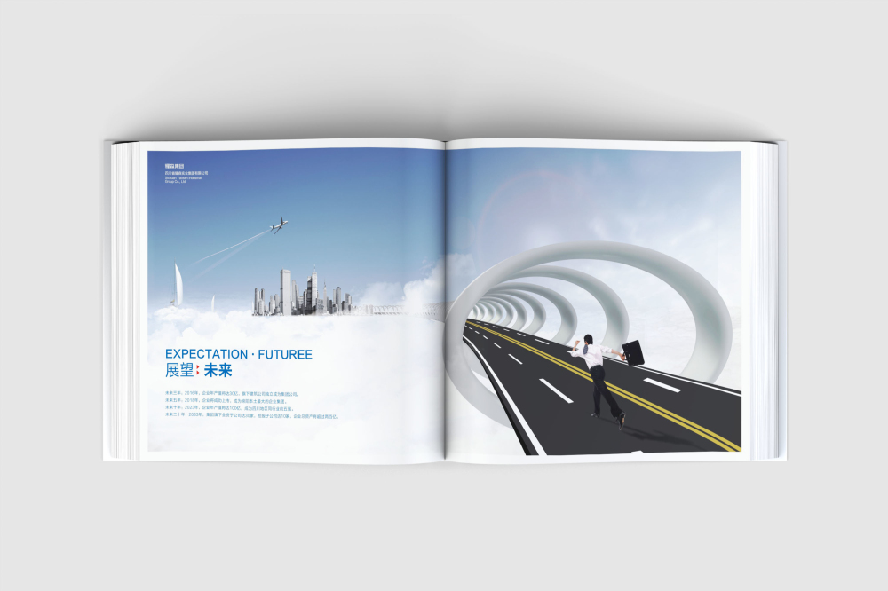 樟树市画册设计